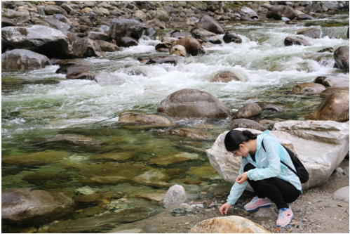 鸿运国际·(中国)集团-最新鸿运官网接待你