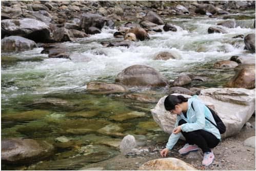 鸿运国际·(中国)集团-最新鸿运官网接待你