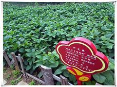 鸿运国际·(中国)集团-最新鸿运官网接待你