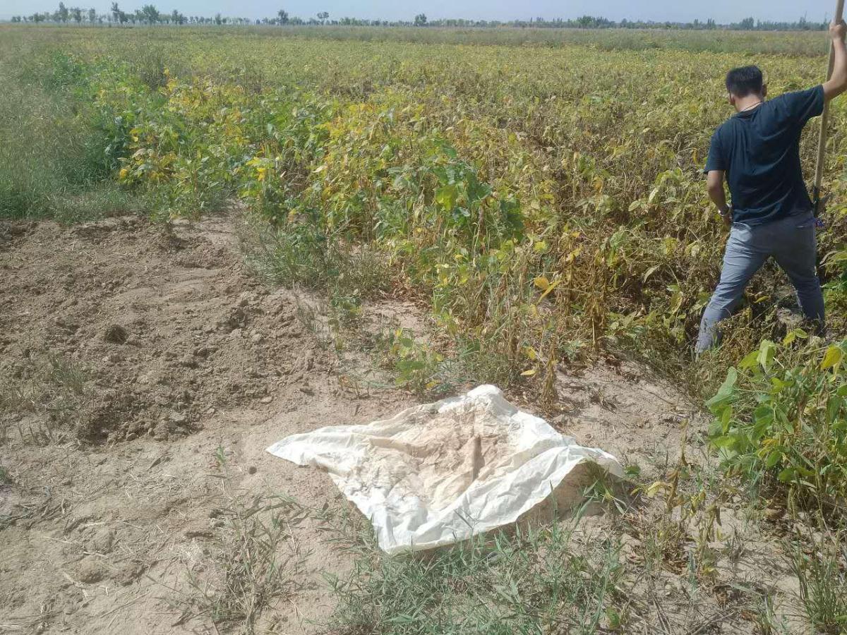 鸿运国际·(中国)集团-最新鸿运官网接待你