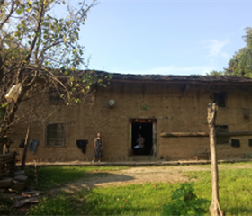 202012081108299674_280x240