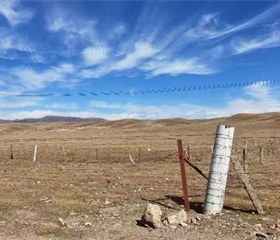 202012100833582368_280x240