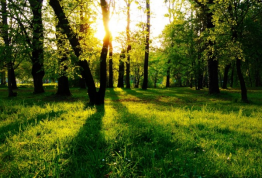 鸿运国际·(中国)集团-最新鸿运官网接待你