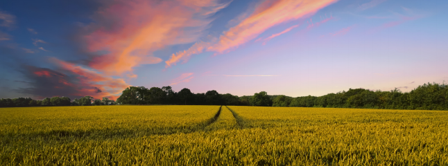 鸿运国际·(中国)集团-最新鸿运官网接待你