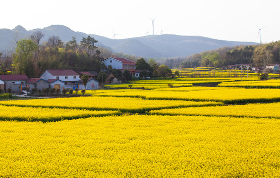 鸿运国际·(中国)集团-最新鸿运官网接待你
