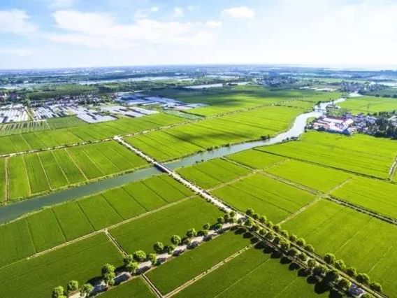 鸿运国际·(中国)集团-最新鸿运官网接待你