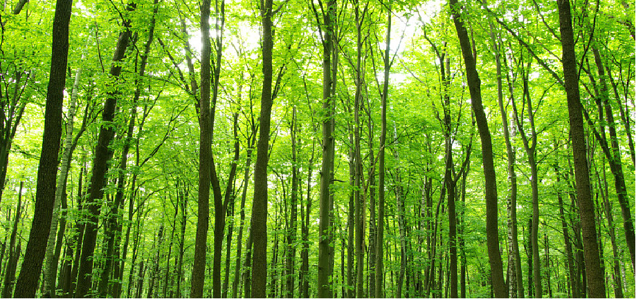 鸿运国际·(中国)集团-最新鸿运官网接待你