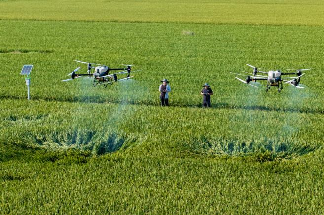 鸿运国际·(中国)集团-最新鸿运官网接待你